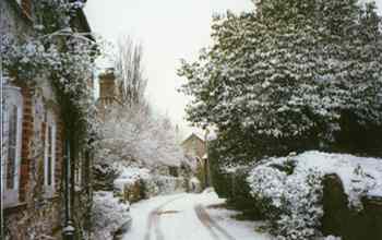 Photo of a Winter Scene