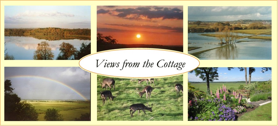 Photo mosaic of views from the cottage